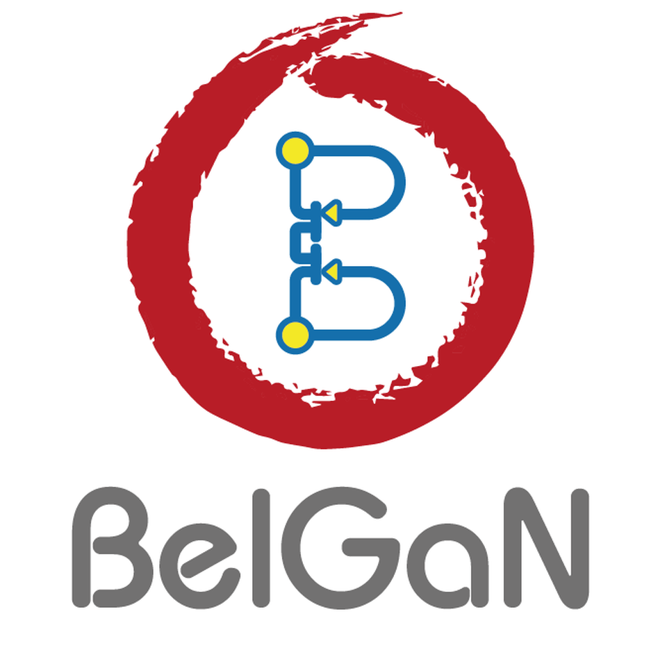 BelGaN BV